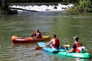 Canoë kayak sur le Loing
