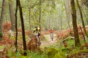 EDR- Raid 2014