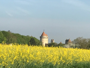 Chateau de Blandy les Tours au printemps