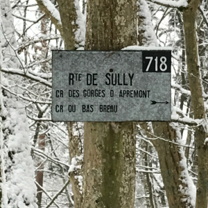 foret de fontainebleau