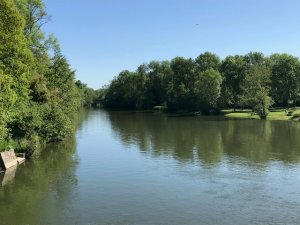 le Loing1