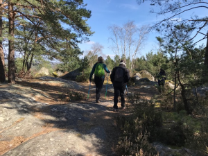 marche nordique forêt de Fontainebleau 2