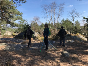 marche nordique forêt de Fontainebleau 3