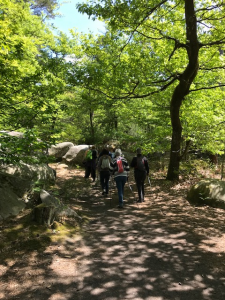 marche nordique gorge d'appremont 1