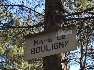 mare de bouligny