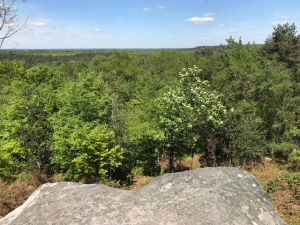 point de vue