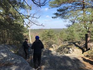 point de vue marche nordique