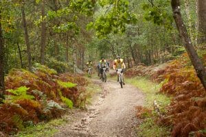 EDR- Raid 2014