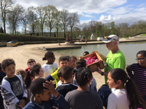 ct vaux 11