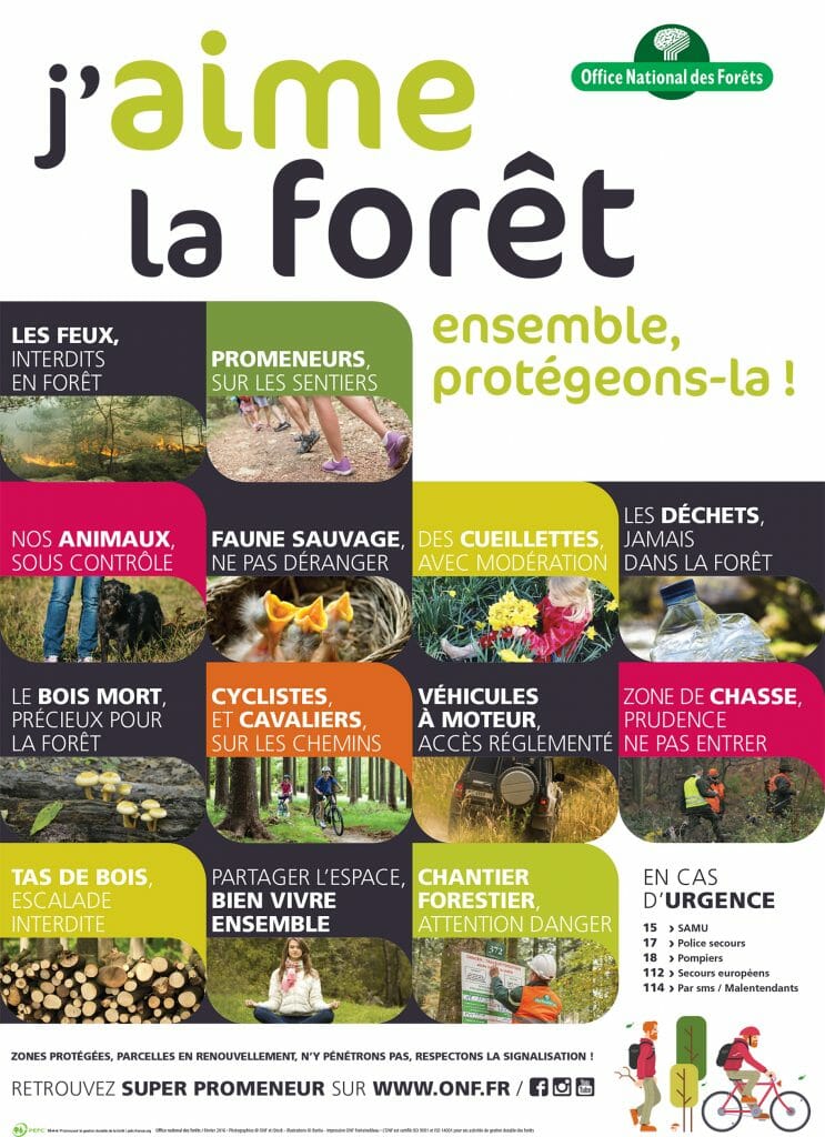 Comment réussir nos balades : conseils pratiques avant de retourner en forêt 2021